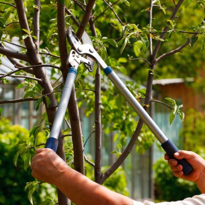 Gardening